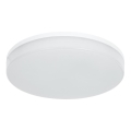 LED RGBW Stmievateľné kúpeľňové stropné svietidlo LED/20W/230V Wi-Fi IP44 biela