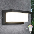 LED RGBW stmievateľné vonkajšie nástenné svietidlo NEELY 1xE27/12W/230V 2700-6500K IP54 antracit