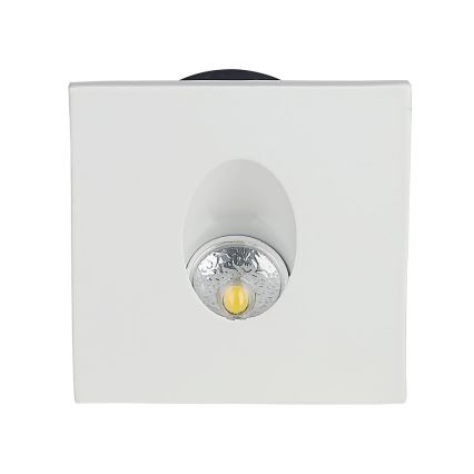 LED Schodiskové svietidlo LED/3W/230V 3000K biela