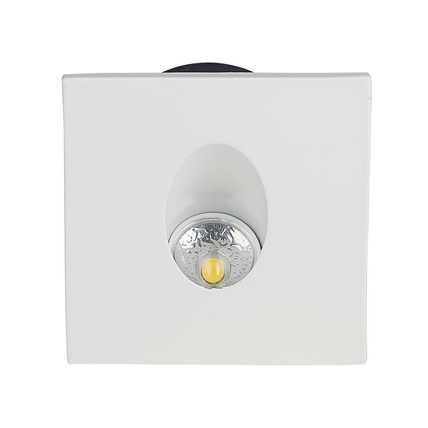 LED Schodiskové svietidlo LED/3W/230V 4000K biela