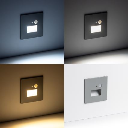 LED Schodiskové svietidlo s pohybovým senzorom LED/1,5W/230V 3000K/4000K/6500K