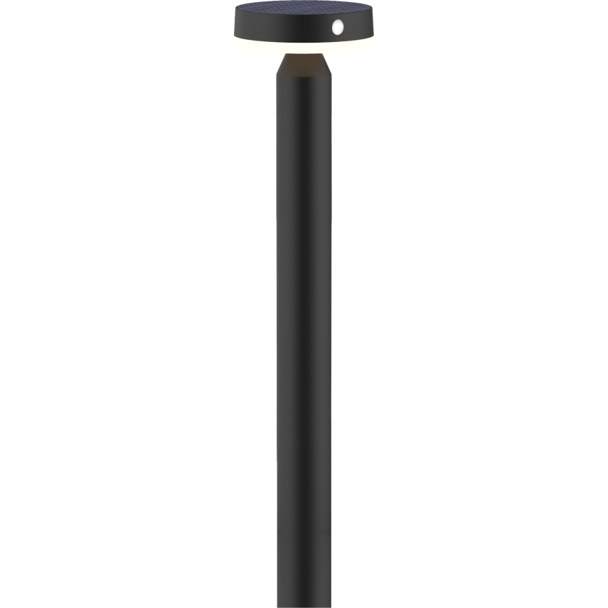 LED Solárna lampa so senzorom GWINEA LED/4,5W/3,7V 2000 mAh 50 cm IP44 čierna