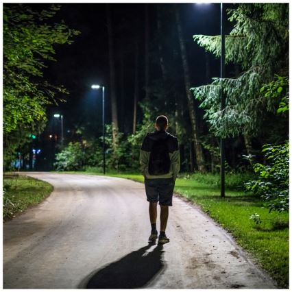 LED Stmievateľná solárna pouličná lampa so senzorom pohybu a súmraku URBI LED/8W/3,2V 6500K IP54 10000 mAh + diaľkové ovládanie