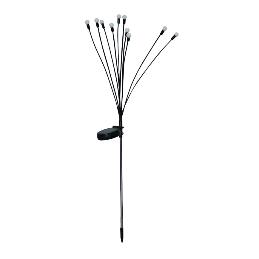 LED Solárne dekoračné svietidlo 10xLED/1,2V 3000K 73 cm IP44
