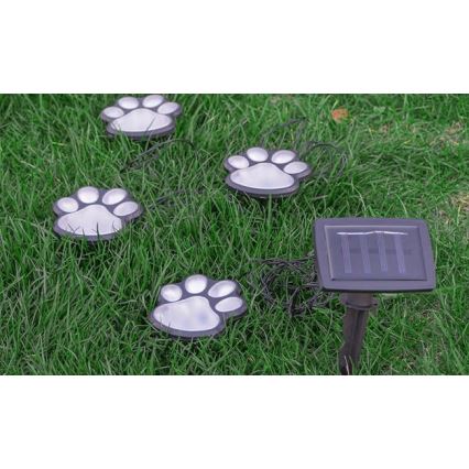 LED Solárne svietidlo LED/0,14W/2V IP44 tlapky