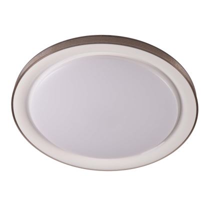 LED Stmievateľné kúpeľňové stropné svietidlo GRAŻYNA LED/72W/230V 3000-6000K pr. 51 cm IP44 šedá + diaľkové ovládanie
