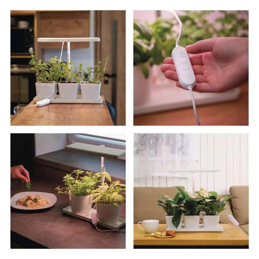 LED stmievateľná interiérová lampa na pestovanie rastlín GROW LED/7W/5V