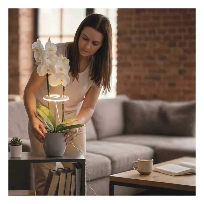 LED Stmievateľná interiérová lampa na pestovanie rastlín GROW LED/8W/5V