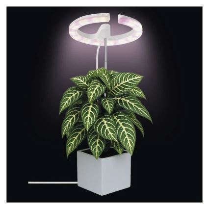 LED Stmievateľná interiérová lampa na pestovanie rastlín GROW LED/8W/5V