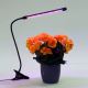LED Stmievateľná lampa s klipom na osvetlenie rastlín LED/3W/230V čierna