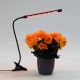 LED Stmievateľná lampa s klipom na osvetlenie rastlín LED/3W/230V čierna