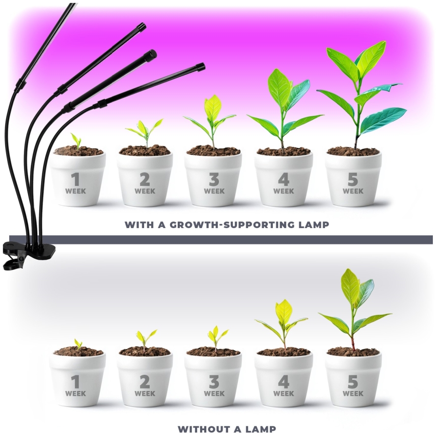 LED Stmievateľná flexibilní stolná lampa s klipom na pestovanie rastlín VITARO 4xLED/10W/230V čierna