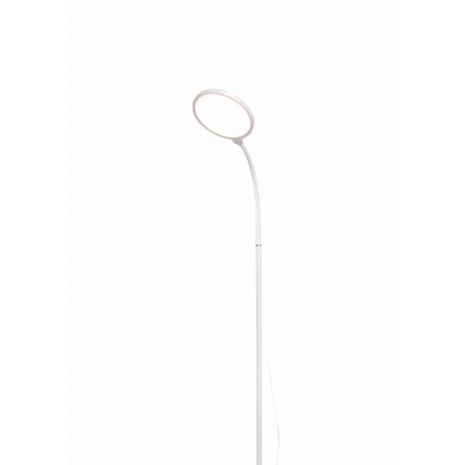 LED Stmievateľná stojacia lampa 2v1 LED/10W/230V biela