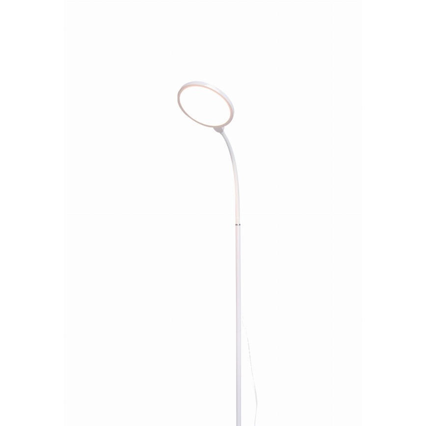 LED Stmievateľná stojacia lampa 2v1 LED/10W/230V biela