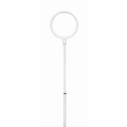 LED Stmievateľná stojacia lampa 2v1 LED/10W/230V biela