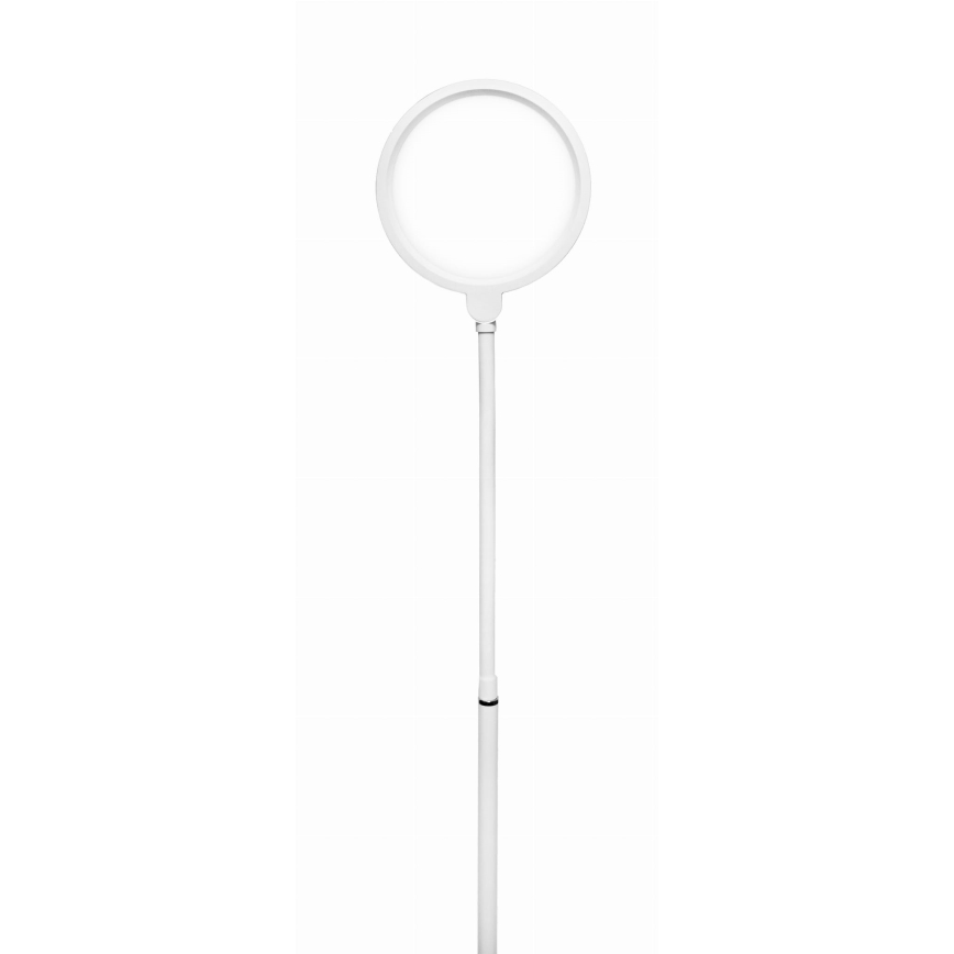 LED Stmievateľná stojacia lampa 2v1 LED/10W/230V biela