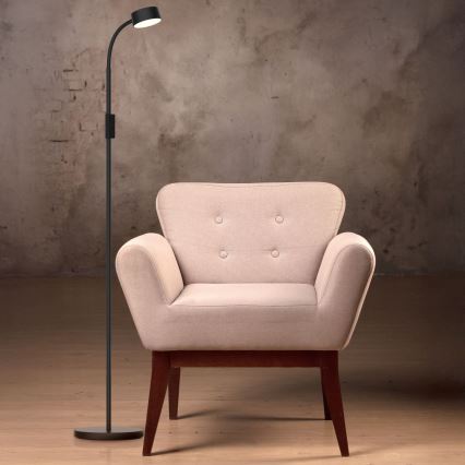 LED Stmievateľná dotyková stojacia lampa BRUNO LED/3W/230V 3000/4000/6500K čierna