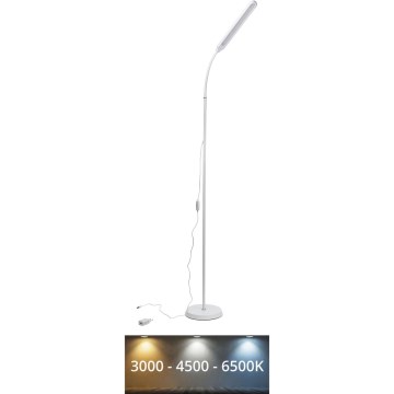 LED Stmievateľná stojacia lampa SIGNUS LED/10W/230V 3000/4500/6500K biela