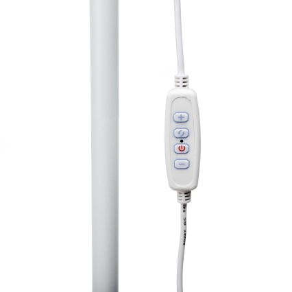 LED Stmievateľná stojacia lampa SIGNUS LED/10W/230V 3000/4500/6500K biela