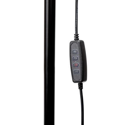 LED Stmievateľná stojacia lampa SIGNUS LED/10W/230V 3000/4500/6500K čierna