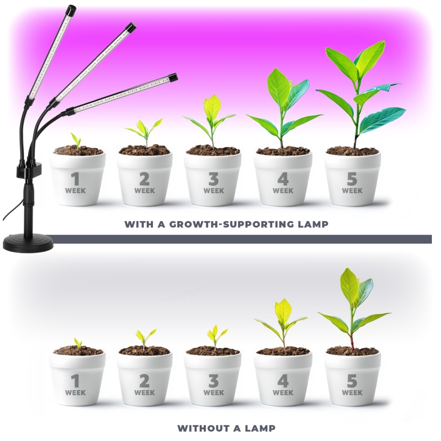 LED Stmievateľná flexibilní stolná lampa na pestovanie rastlín VITARO 3xLED/10W/230V čierna