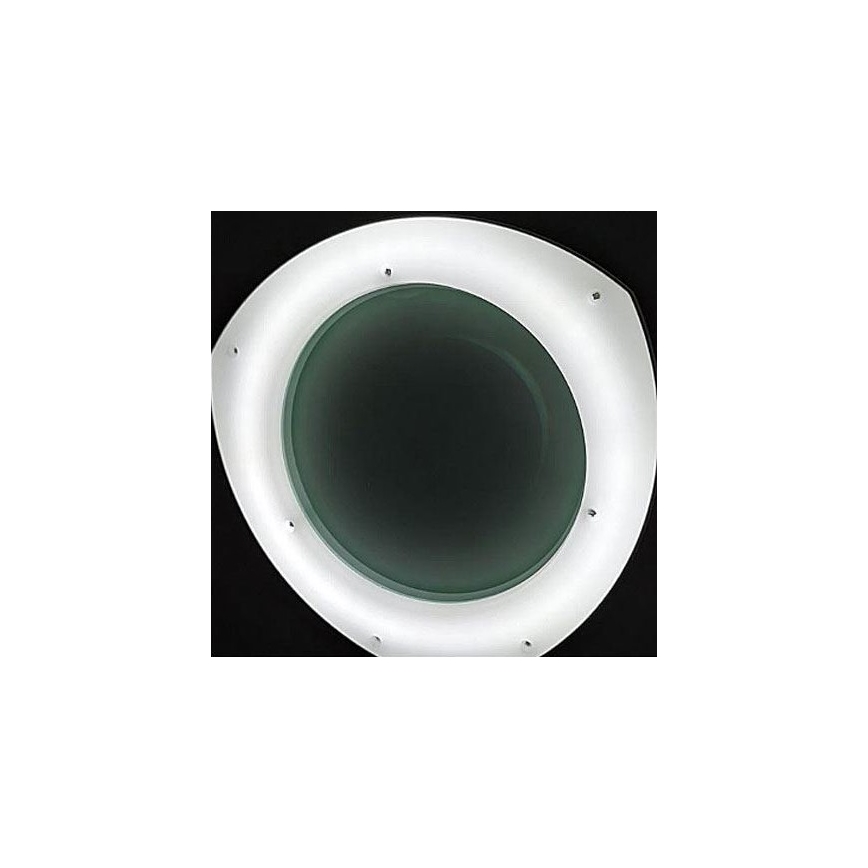 LED Stmievateľná stolná lampa s lupou a klipom LED/8W/12/230V