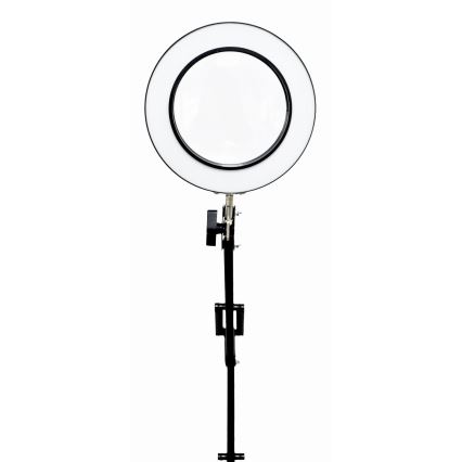 LED Stmievateľná stolná lampa s lupou LED/10W/230V 3000/4500/6000K