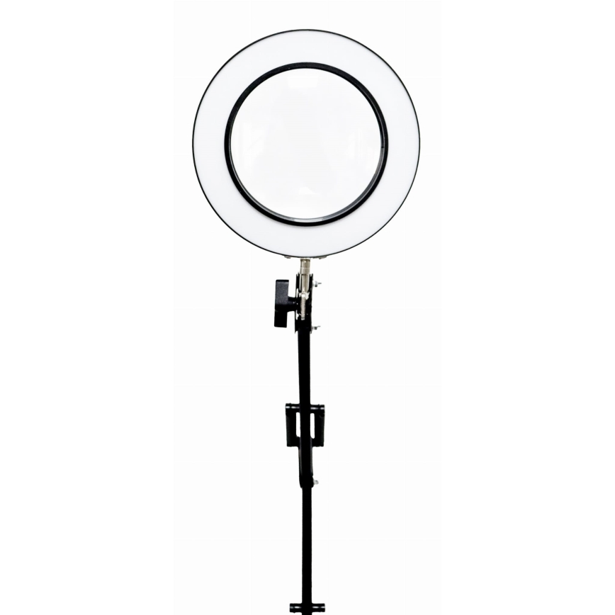 LED Stmievateľná stolná lampa s lupou LED/10W/230V 3000/4500/6000K