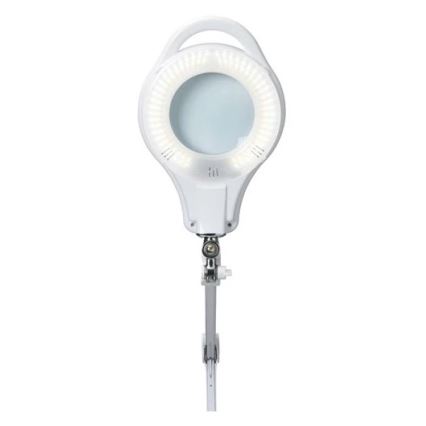 LED Stmievateľná stolná lampa s lupou LED/10W/230V biela