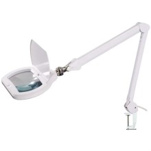 LED Stmievateľná stolná lampa s lupou LED/12W/230V biela