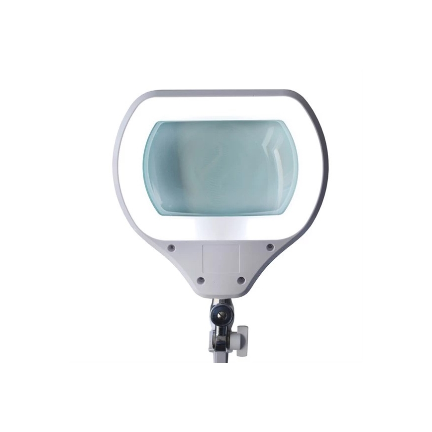 LED Stmievateľná stolná lampa s lupou LED/12W/230V biela