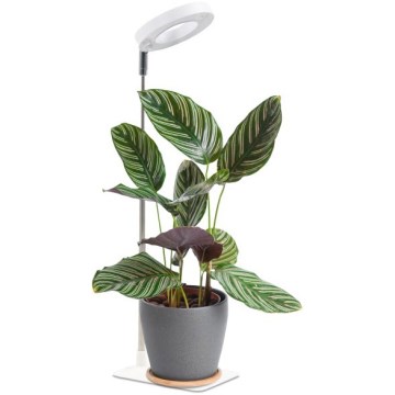 LED Stmievateľná stolová lampa na pestovanie rastlín VERDI LED/5W/5V 1300K CRI 95 biela