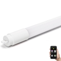 LED Stmievateľná žiarivková trubica MESH Smart T8/18W/230V 6500K 120 cm - Aigostar