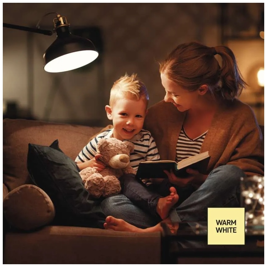 LED Stmievateľná žiarovka A60 E27/10,5W/230V 2700K