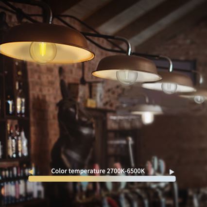 LED Stmievateľná žiarovka FILAMENT G45 E14/4,5W/230V 2700-6500K Wi-Fi - Aigostar