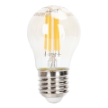 LED Stmievateľná žiarovka FILAMENT G45 E27/4W/230V 2200K - Aigostar