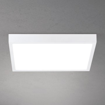 LED stmievateľné stropné svietidlo DISC LED/30W/230V 2700/3000/4000K 39x39 cm biela