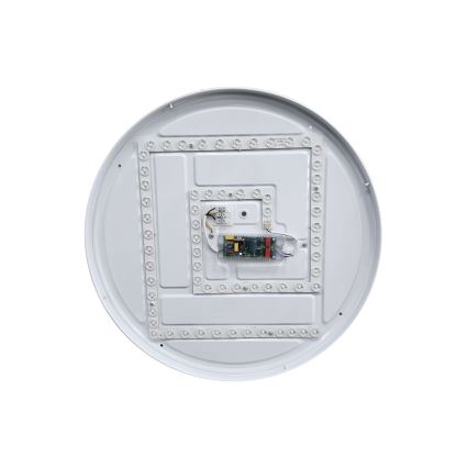 LED Stmievateľné stropné svietidlo DRINA LED/36W/230V 2700-6500K pr. 50 cm + diaľkové ovládanie