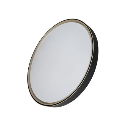 LED Stmievateľné stropné svietidlo EBRO LED/36W/230V 2700-6500K pr. 50 cm + diaľkové ovládanie