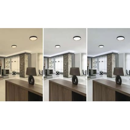 LED stmievateľné stropné svietidlo ILVI LED/30W/230V 2700-6500K pr. 40 cm čierna/béžová + diaľkové ovládanie