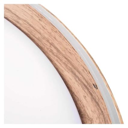LED Stmievateľné stropné svietidlo ILVI LED/30W/230V 2700-6500K pr. 40 cm béžová + diaľkové ovládanie