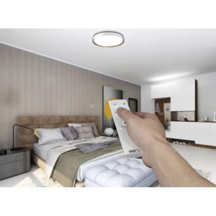 LED stmievateľné stropné svietidlo ILVI LED/45W/230V 2700-6500K priem. 50 cm biela/béžová + diaľkové ovládanie