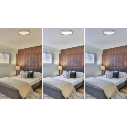 LED stmievateľné stropné svietidlo ILVI LED/45W/230V 2700-6500K priem. 50 cm biela/béžová + diaľkové ovládanie