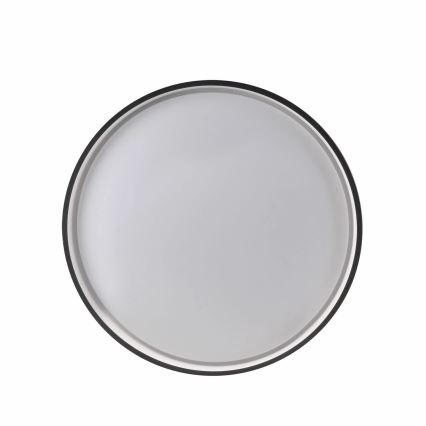 LED Stmievateľné kúpeľňové stropné svietidlo JADWIGA LED/42W/230V pr. 38,5 cm 3000-6000K IP44 + diaľkové ovládanie