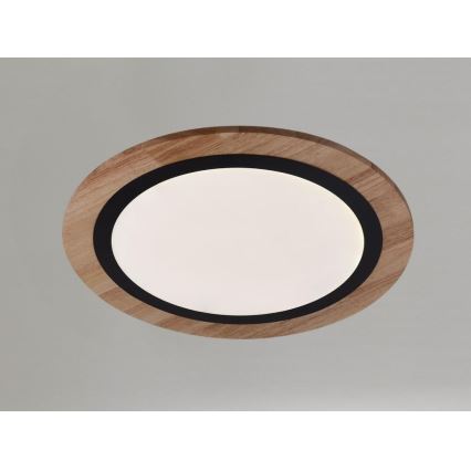 LED stmievateľné stropné svietidlo LED/25W/230V 3000-6500K + diaľkové ovládanie