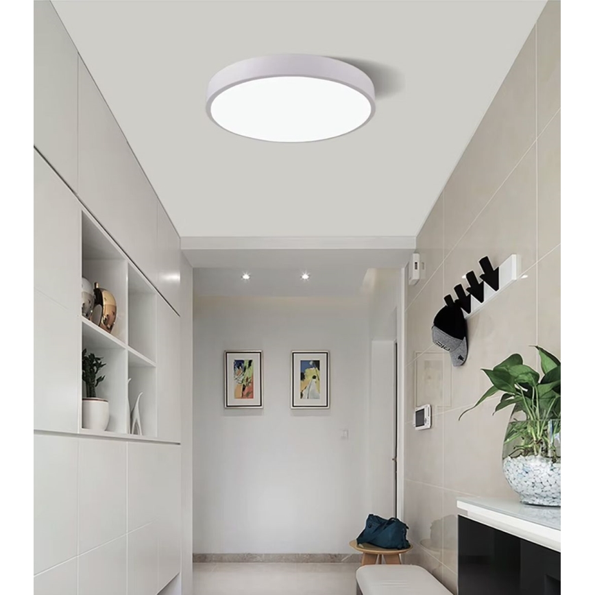 LED Stmievateľné stropné svietidlo LED/30W/230V 3000-6500K pr. 30 cm biela + diaľkové ovládanie