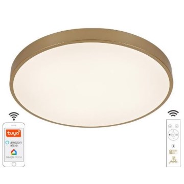 LED Stmievateľné stropné svietidlo LED/48W/230V 2700-6500K Wi-Fi Tuya + diaľkové ovládanie