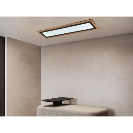LED stmievateľné stropné svietidlo LED/55W/230V 3000-6500K + diaľkové ovládanie
