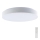 LED Stmievateľné stropné svietidlo LED/60W/230V 3000-6500K 49,5 cm biela + diaľkové ovládanie