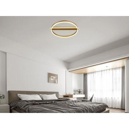 LED Stmievateľné stropné svietidlo LED/60W/230V 3000-6500K + diaľkové ovládanie